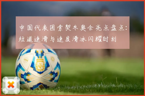 中国代表团索契冬奥会亮点盘点：短道速滑与速度滑冰闪耀时刻