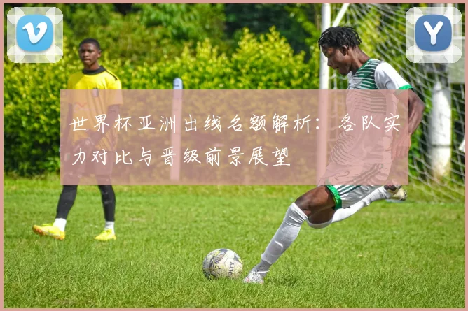 世界杯亚洲出线名额解析：各队实力对比与晋级前景展望