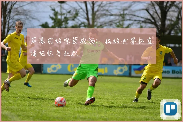 屏幕前的绿茵战场：我的世界杯直播记忆与狂欢