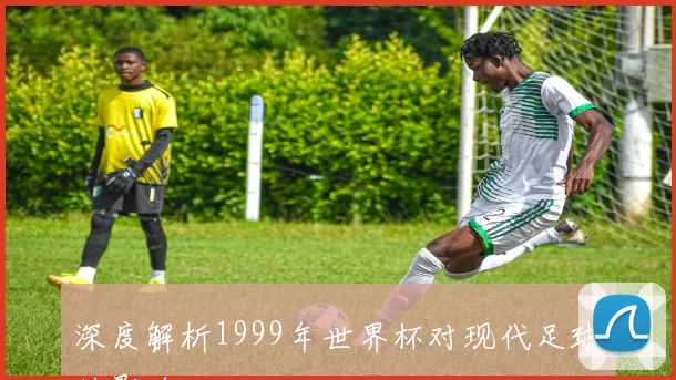 深度解析1999年世界杯对现代足球的影响