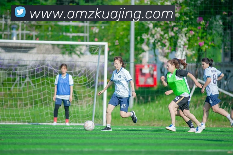 mksports登录入口发展历程